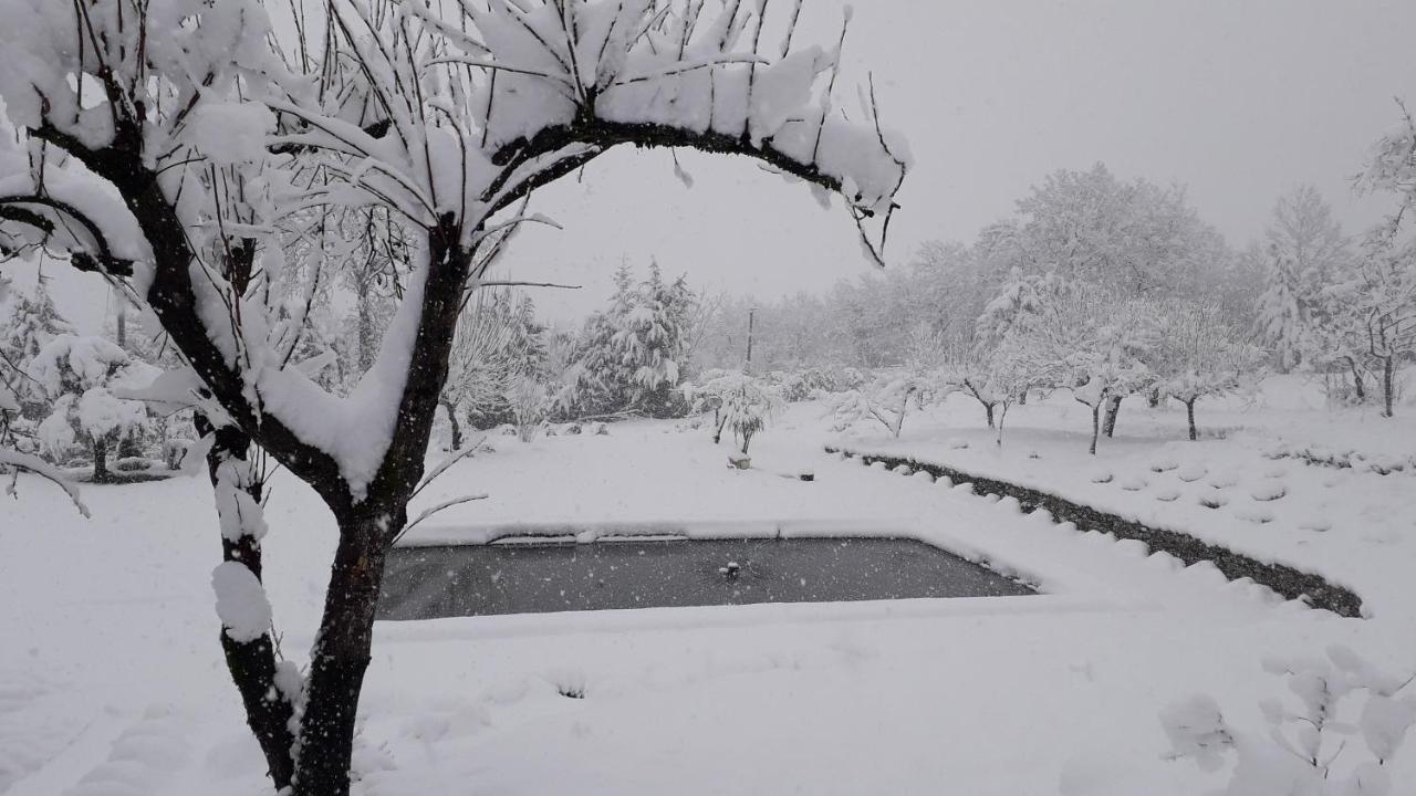 מונטלה Masseria Boutique B&B מראה חיצוני תמונה