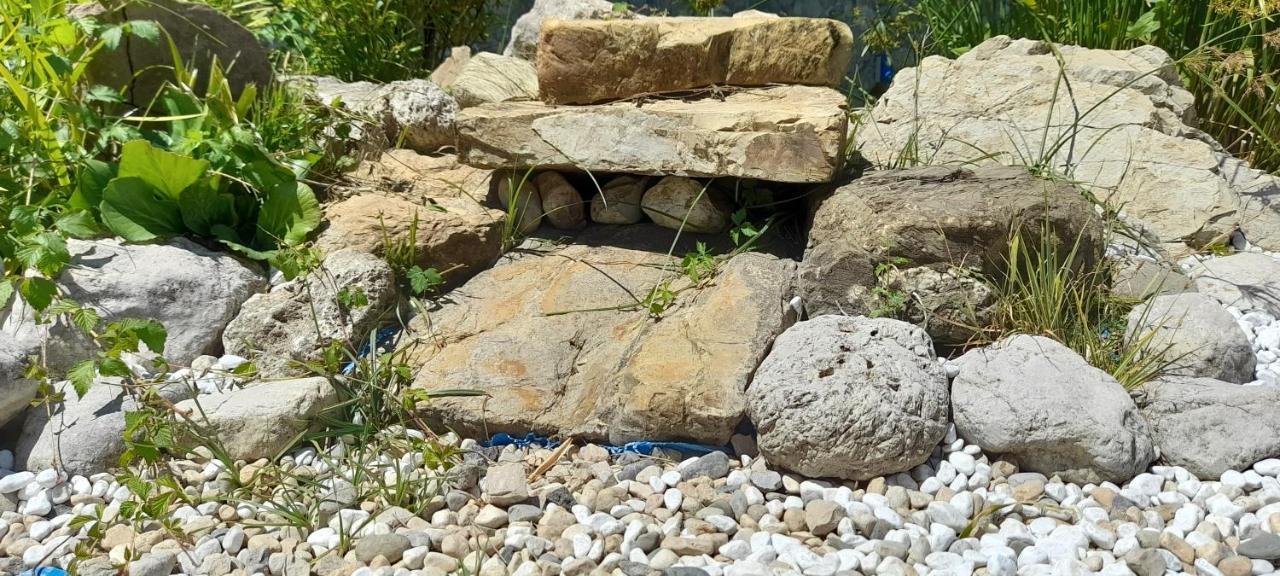 מונטלה Masseria Boutique B&B מראה חיצוני תמונה
