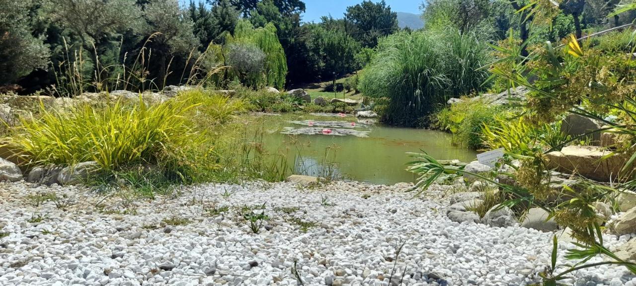מונטלה Masseria Boutique B&B מראה חיצוני תמונה