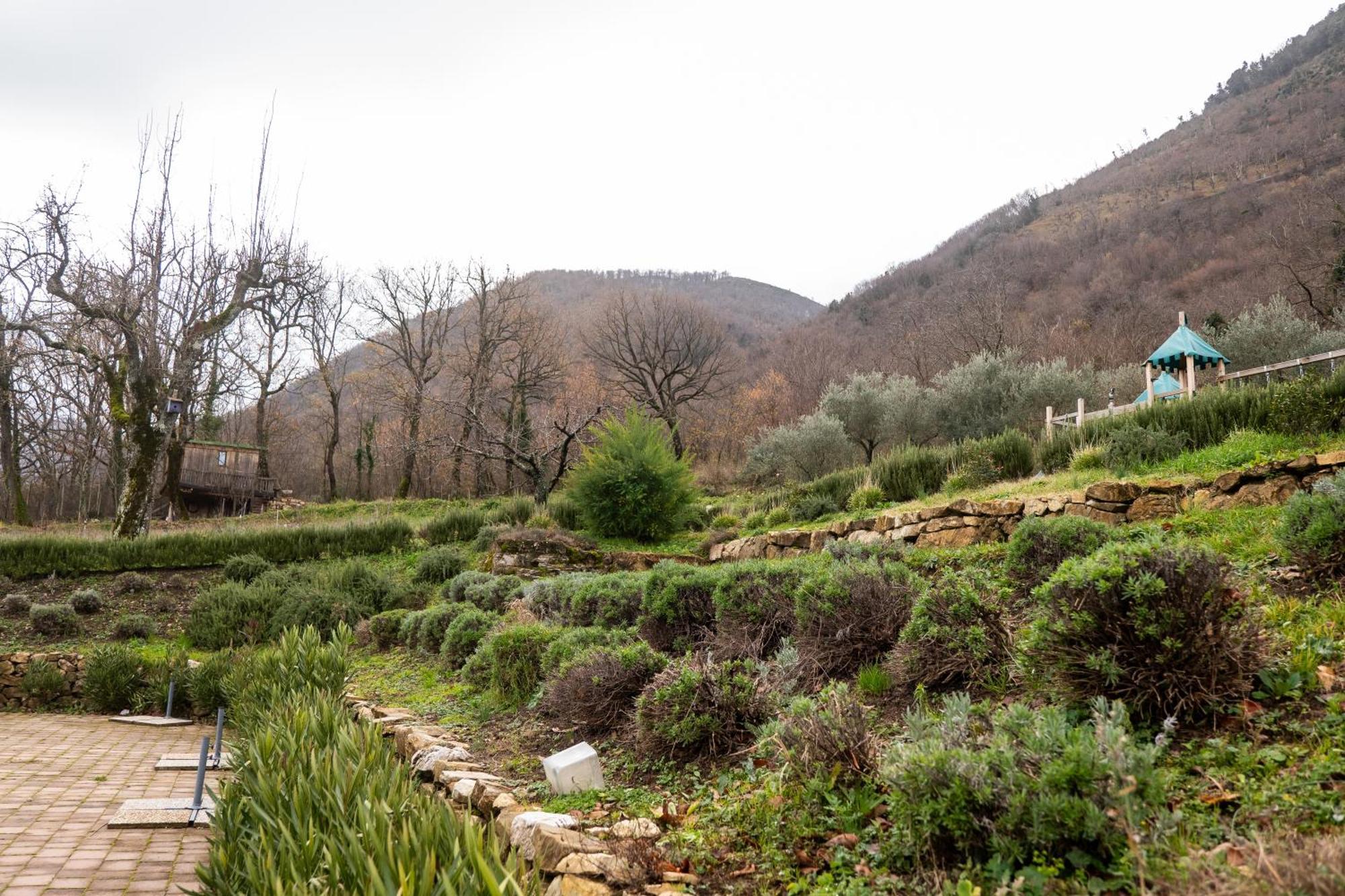 מונטלה Masseria Boutique B&B מראה חיצוני תמונה